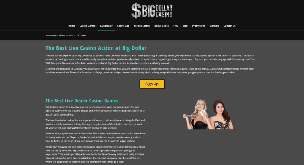 big dollar casino screenshot